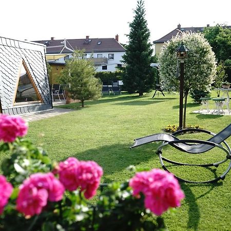 Pension Nr. 13 - B&B Pirna Exterior photo
